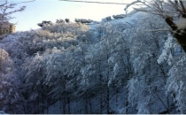 BU KARE TÜRKİYEDE ÇEKİLDİ YAZIN ORTASINDA ''KAR''