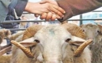 Bu uyarıyı dikkate alın!