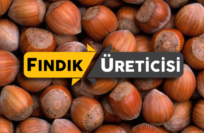 Cumhurbaşkanı Erdoğan'dan Fındık Açıklaması! Seçimden Sonra.