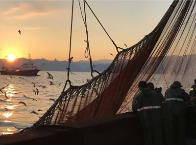 Su Ürünleri Av Sezonu Sona Eriyor